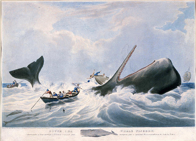 http://19thcenturyrealism.com/wp-content/uploads/2013/01/Whaling-Huggins.jpg