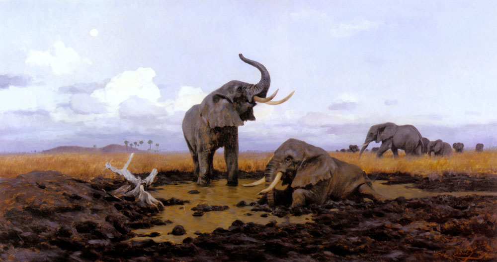 Kuhnert-Wilhelm-In-The-Twilgiht-Elephants