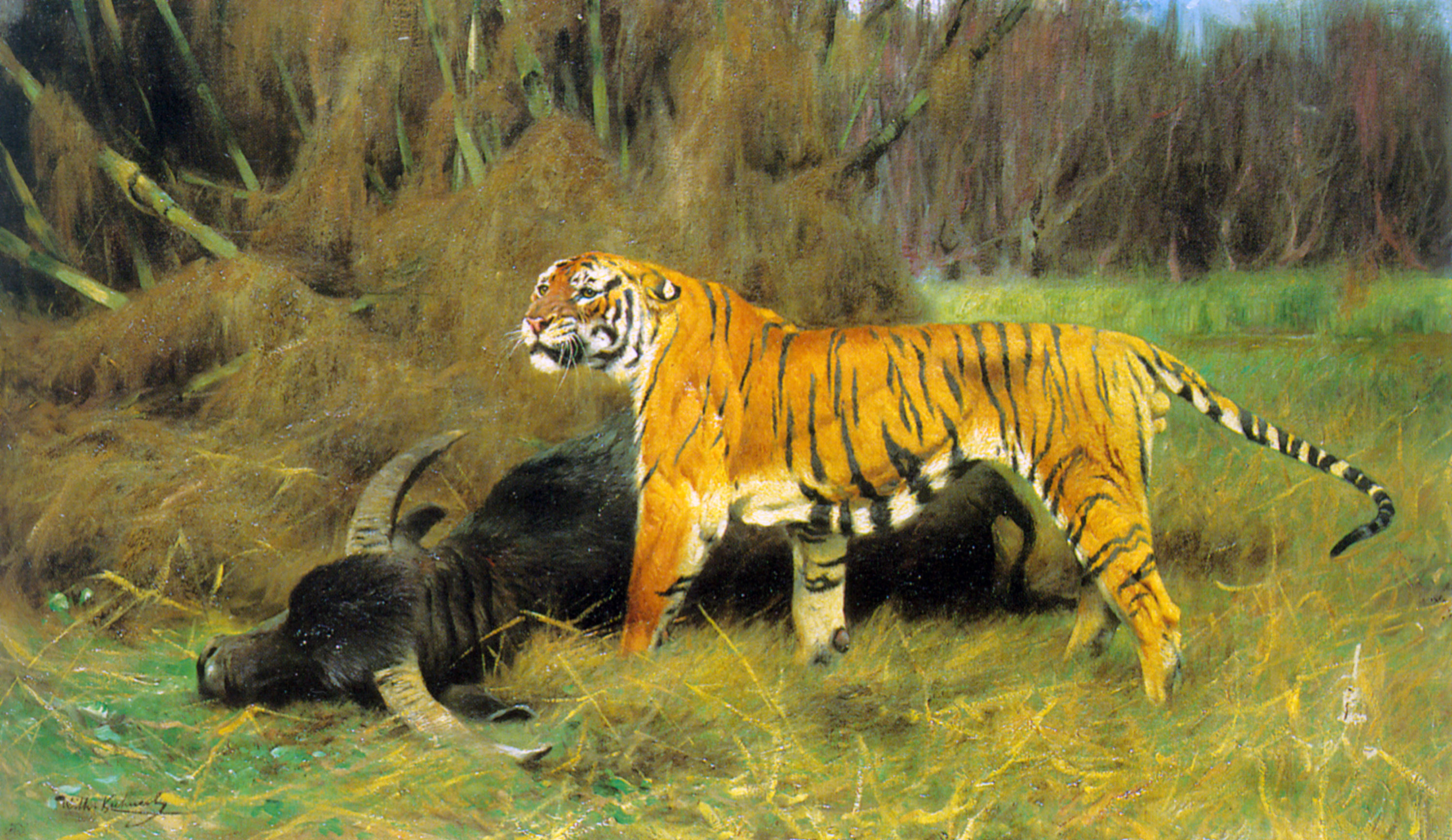 kuhnert_a-tiger-with-its-prey-1908