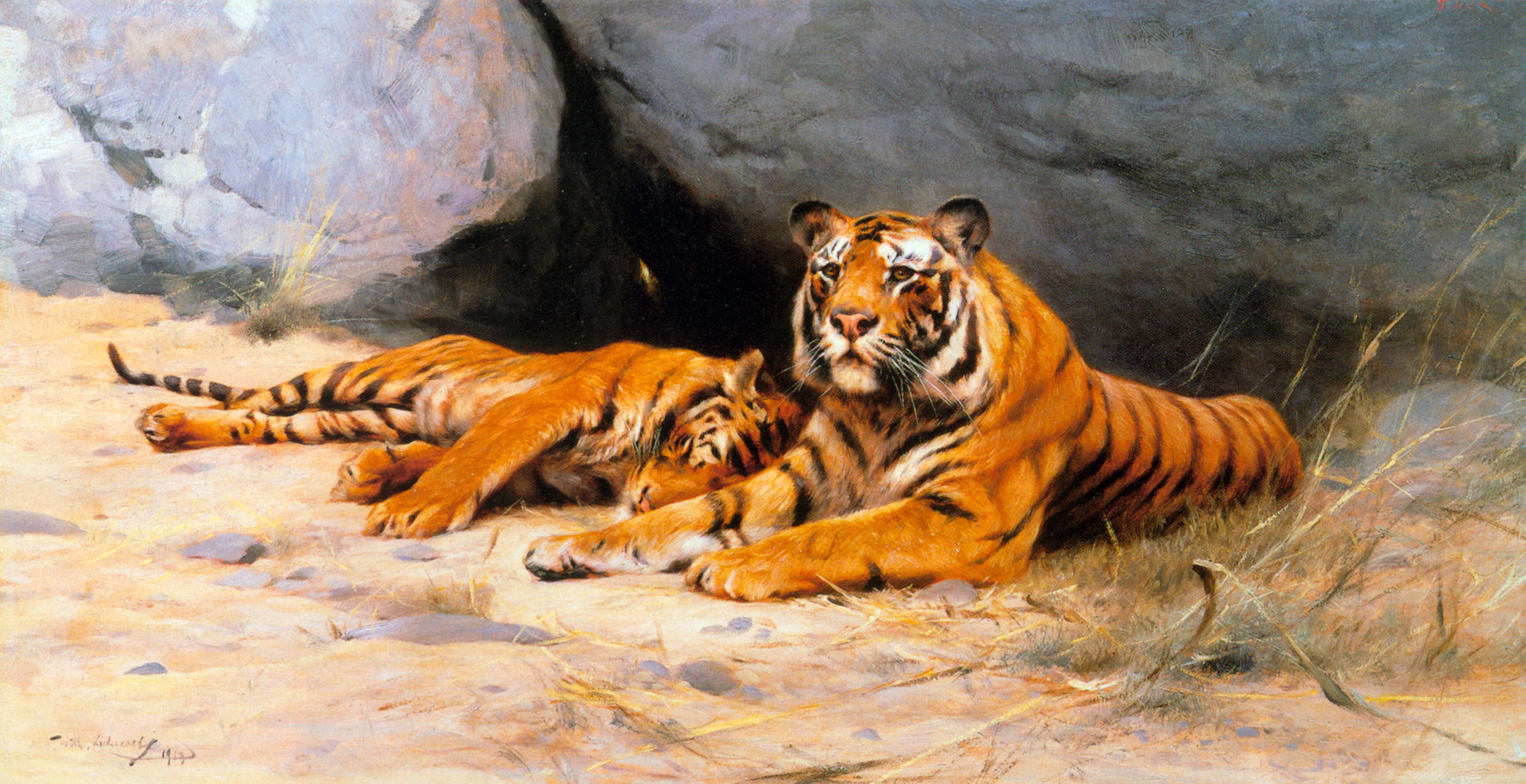 kuhnert_tigers-resting-1913